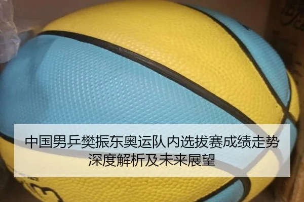 中国男乒樊振东奥运队内选拔赛成绩走势深度解析及未来展望