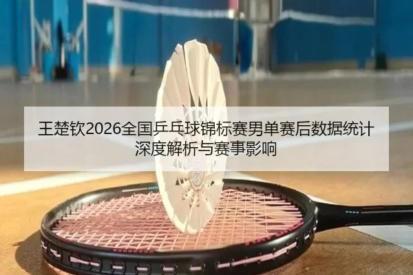 wang-chu-qin-quan-guo-ping-pang-qiu-jin-biao-sai-nan-dan-sai-hou-shu-ju-tong-ji-shen-du-jie-xi-yu-sai-shi-ying-xiang-2-434.jpg